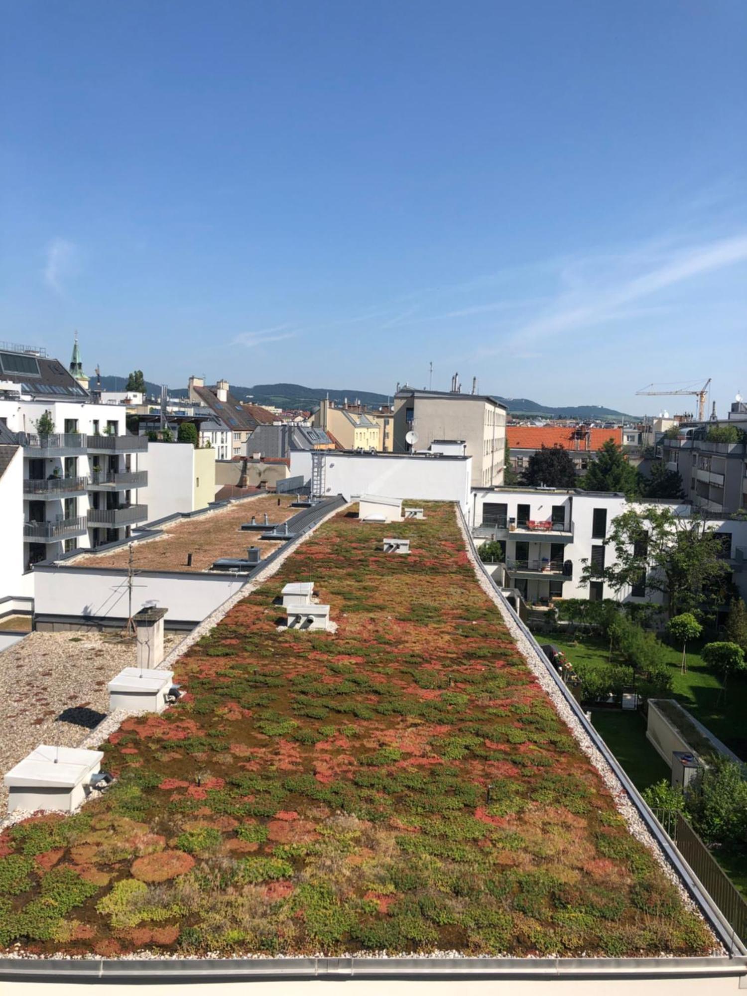 Vienna Sunny Side Up Apartments Buitenkant foto